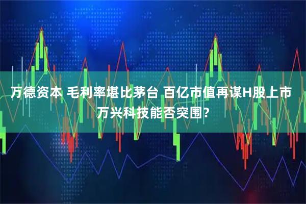 万德资本 毛利率堪比茅台 百亿市值再谋H股上市 万兴科技能否突围？