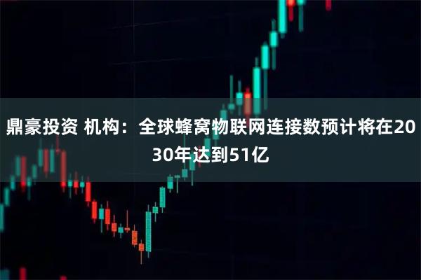 鼎豪投资 机构：全球蜂窝物联网连接数预计将在2030年达到51亿