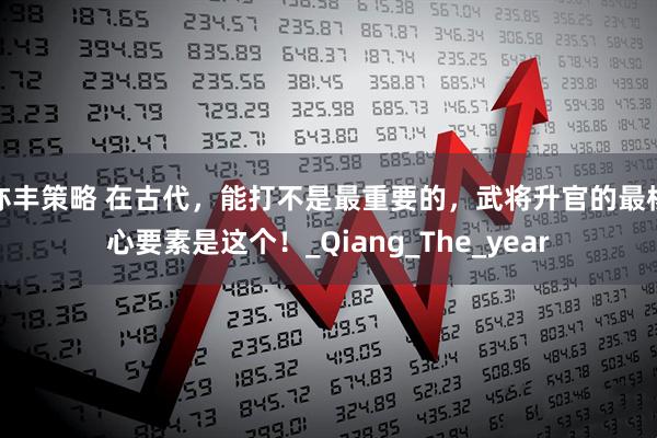 亦丰策略 在古代，能打不是最重要的，武将升官的最核心要素是这个！_Qiang_The_year