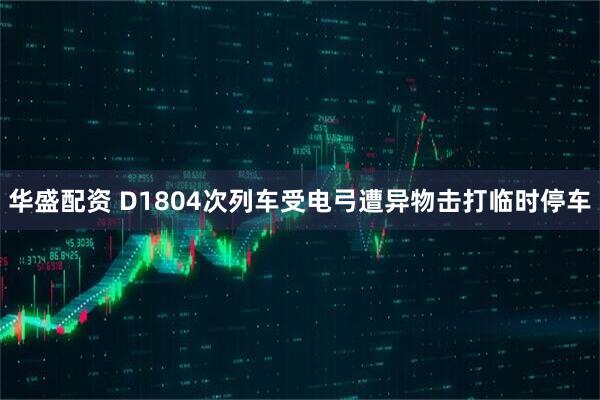 华盛配资 D1804次列车受电弓遭异物击打临时停车